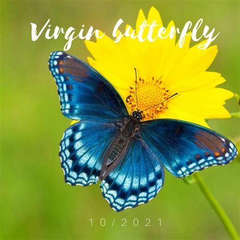 virgin butterfly